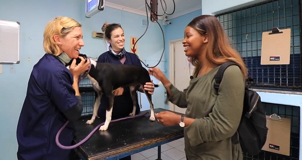 Puppy Love! a young dog is comforted by SPCA staff ahead of a procedure at the Kloof and Highway SPCA