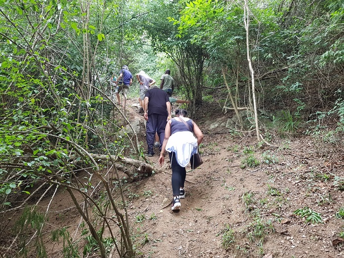 Hiking through the beautiful lower Molweni on a newly developed walking trail.