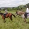 heartland-horse-riding-2