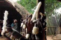 Swell Tours Launches Their Newest Tour: Shongweni Farmers Market & PheZulu in a Day